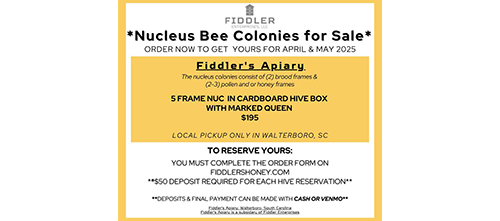 Fiddlers Apiary 2025 Nuc sales.png